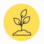 Accompagnement en microgroupe
